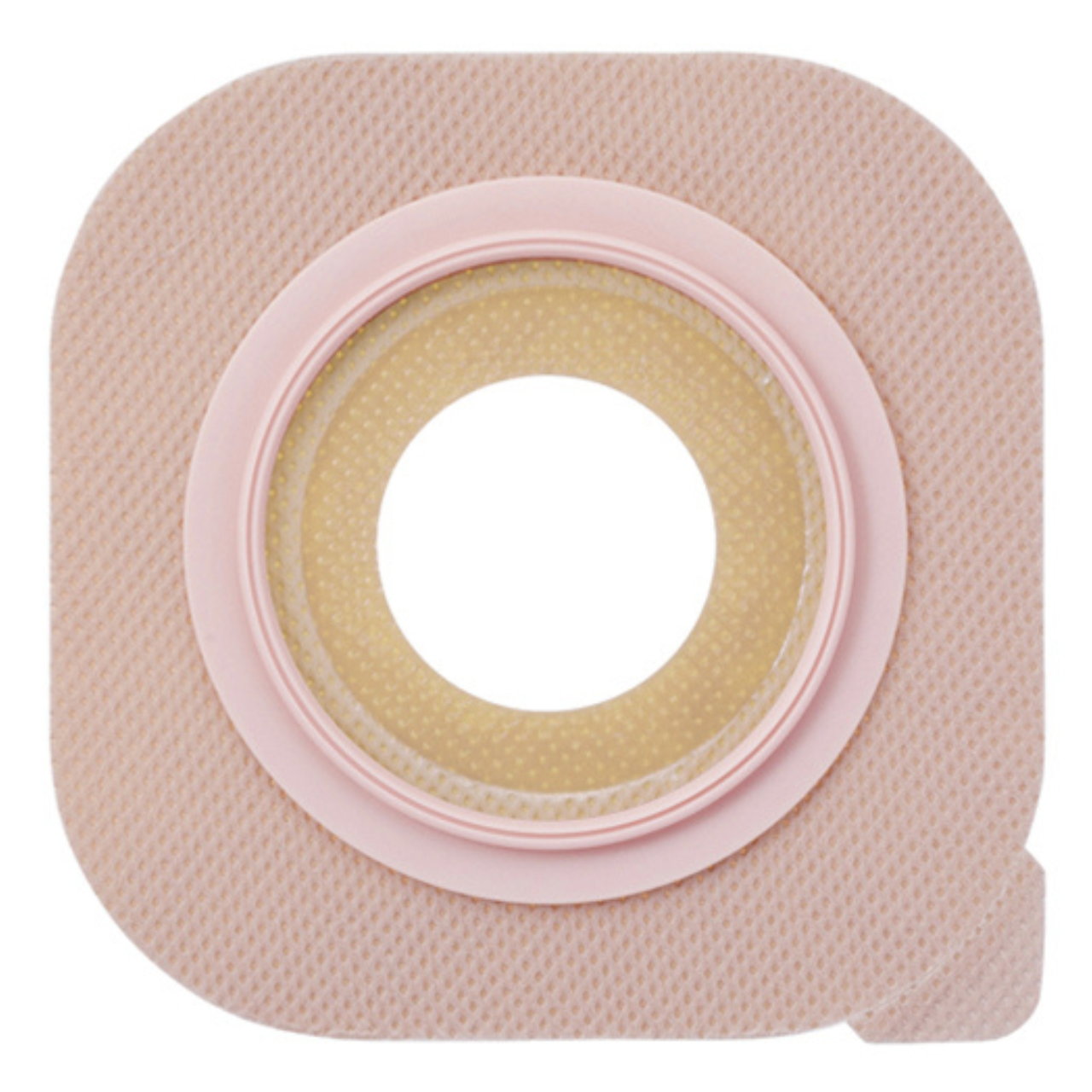 ニューイメージセラプラス 5枚入 151118 ﾌﾗﾝｼﾞ57mm ﾌﾟﾚｶｯﾄ38mm