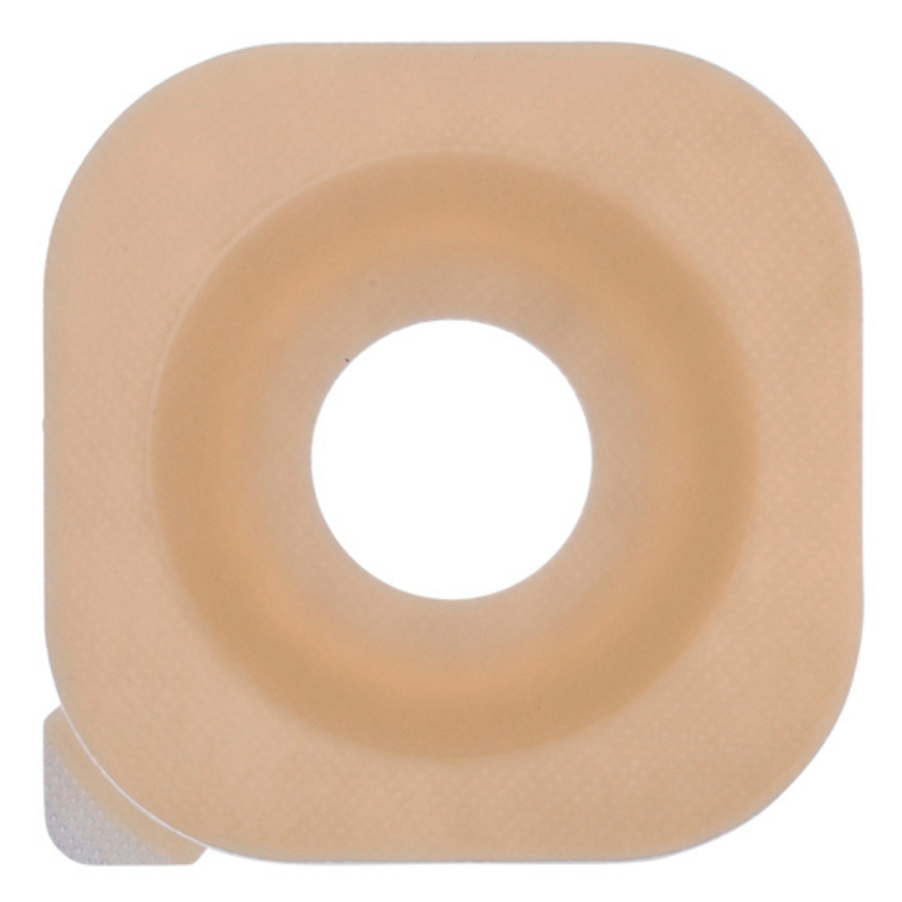 ニューイメージセラプラス 5枚入 151118 ﾌﾗﾝｼﾞ57mm ﾌﾟﾚｶｯﾄ38mm