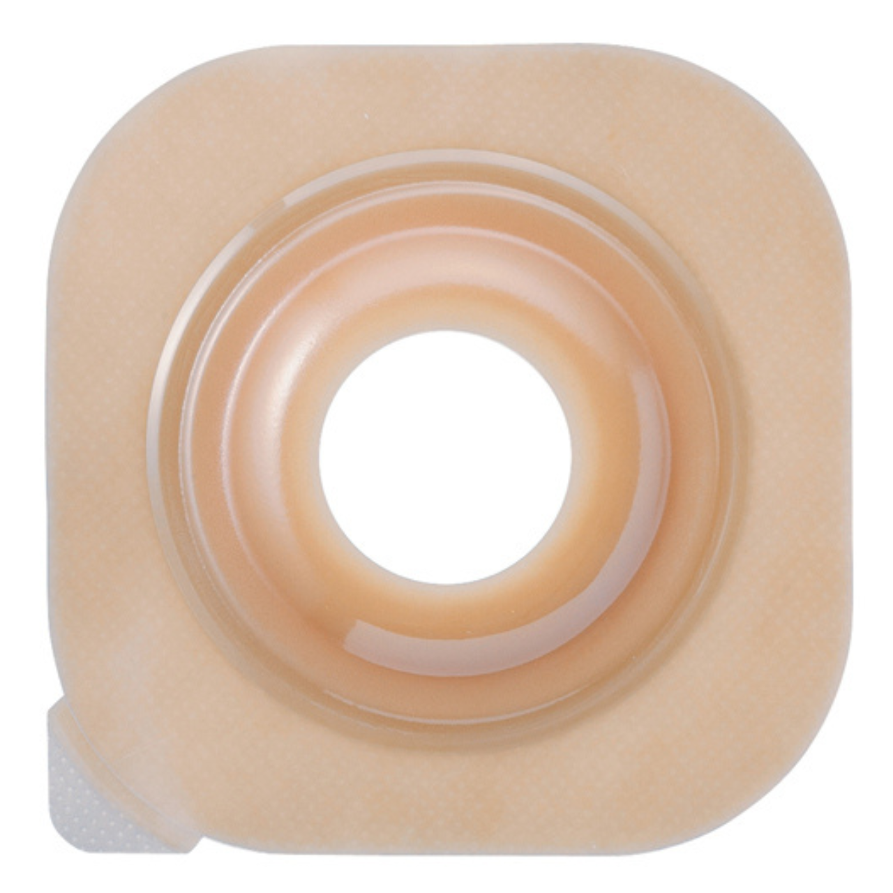ニューイメージセラプラス 凸面 5枚入 153105 ﾌﾗﾝｼﾞ57mm ﾌﾟﾚｶｯﾄ29mm