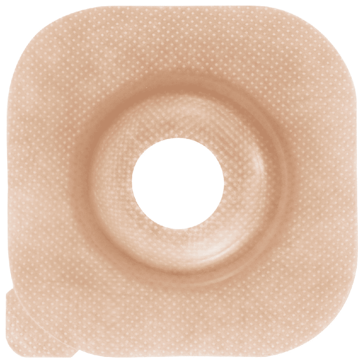 やわぴた面板セラプラス テープなしタイプ 5枚入 ﾌﾗﾝｼﾞ44mm ﾌﾟﾚｶｯﾄ19mm