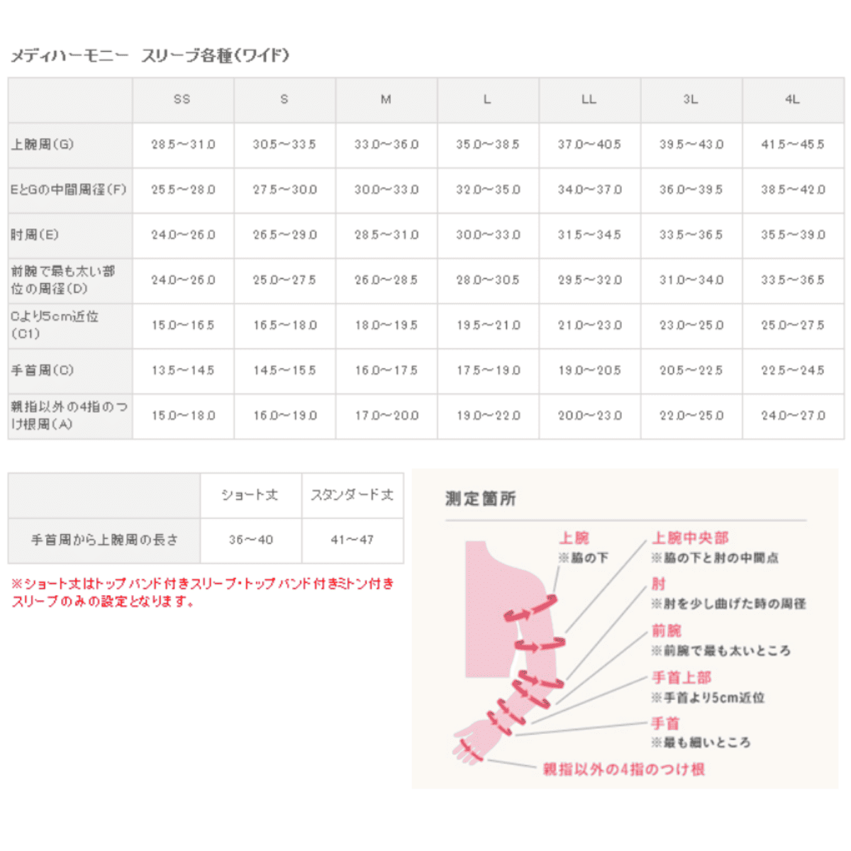 メディメディハーモニー スリーブ スタンダード丈 ワイド クラス2 ノーマル 3.1-4.3kPa キャラメル SS