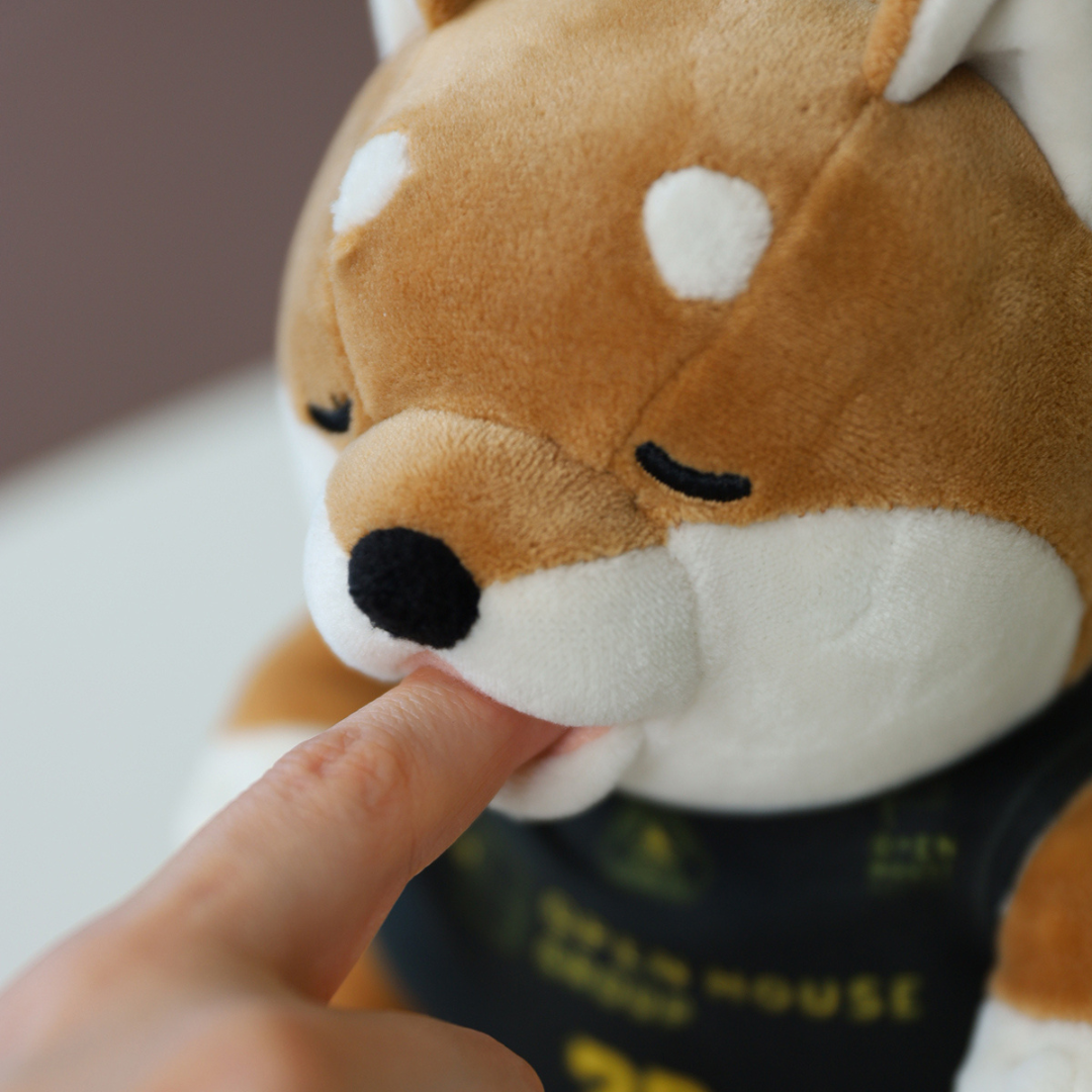 甘噛みハムハム 群馬クレインサンダーズ ユニフォームセット 甘噛みハムハム 群馬クレインサンダーズ ユニフォームセット