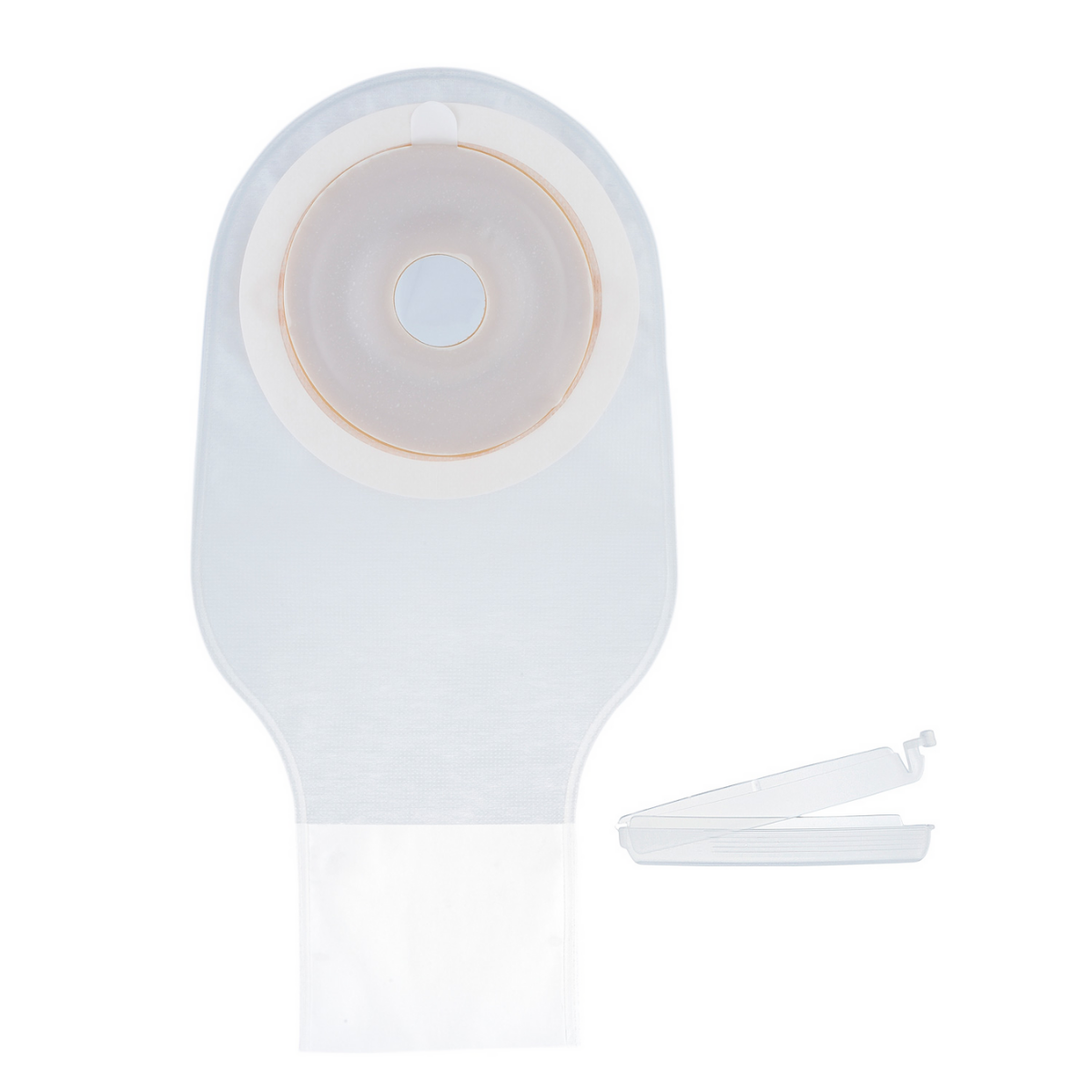 プロケアー1・プレカットDc-22 5枚入 12366 プレカット22mm 透明