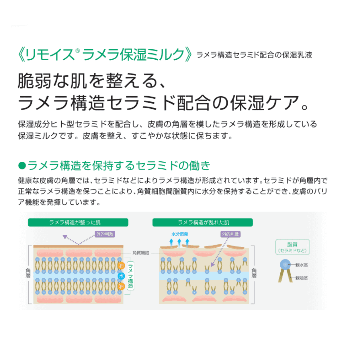 リモイスラメラ保湿ミルク 380ml 380ml プッシュボトル