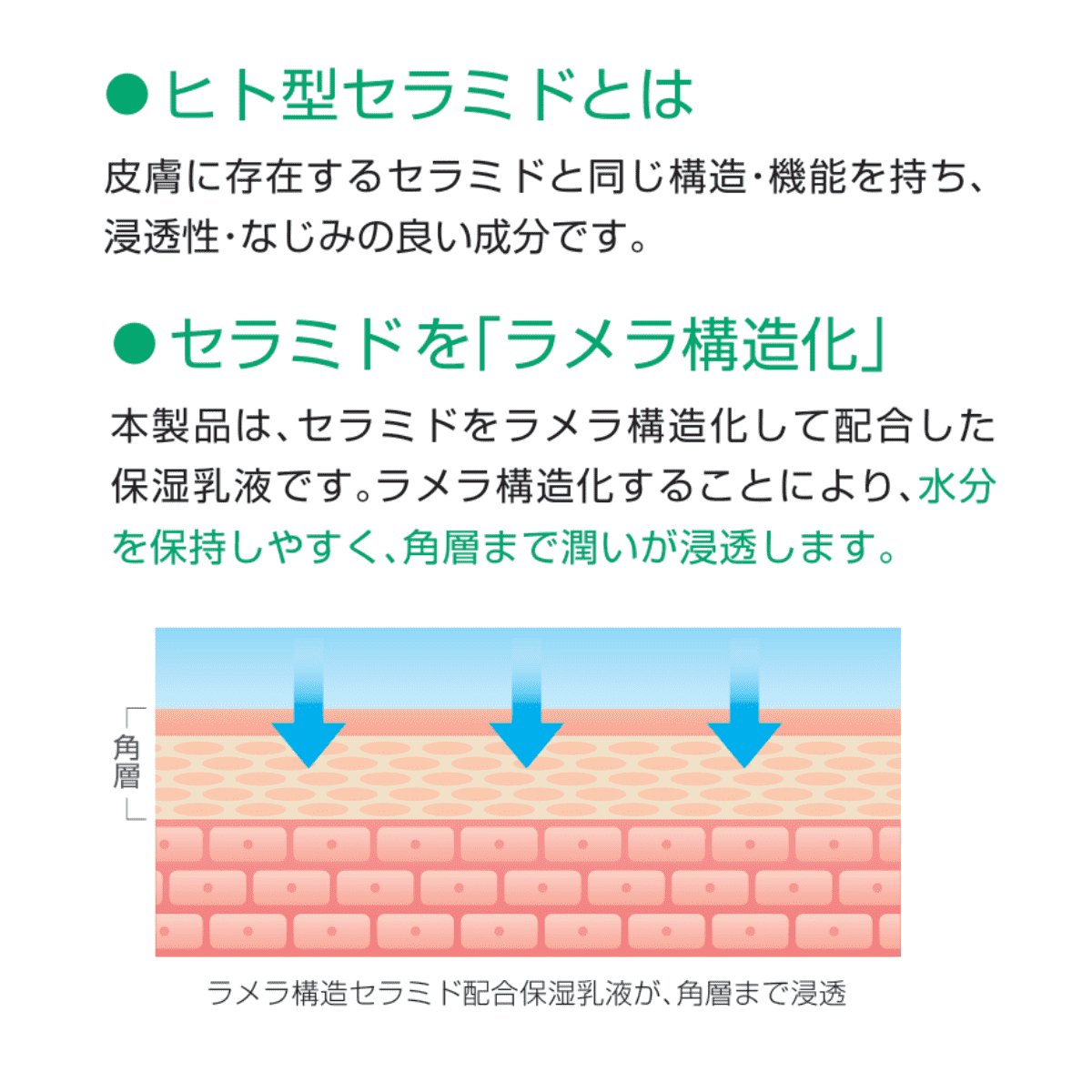 リモイスラメラ保湿ミルク 380ml 380ml プッシュボトル