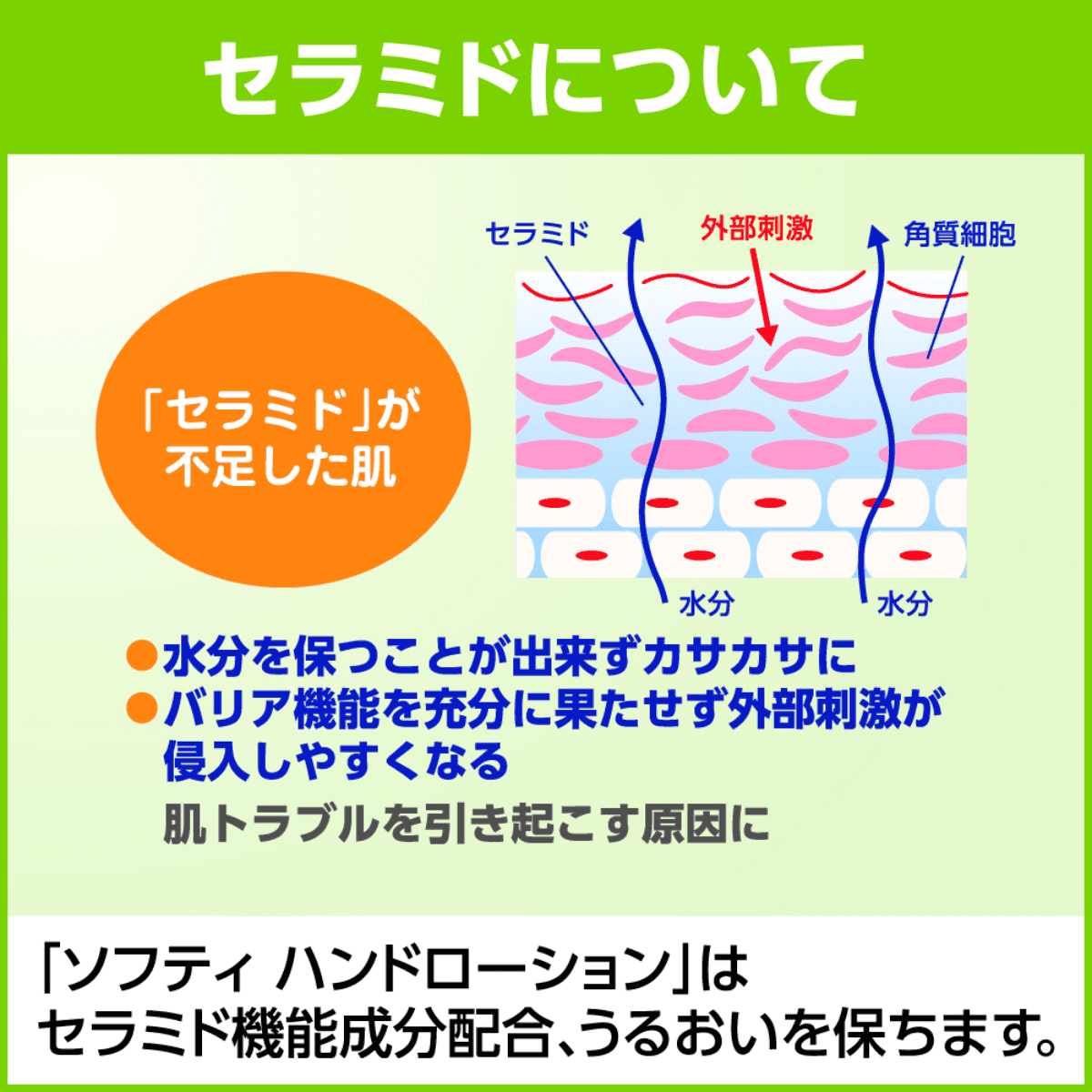 ソフティ ハンドローション 550mL