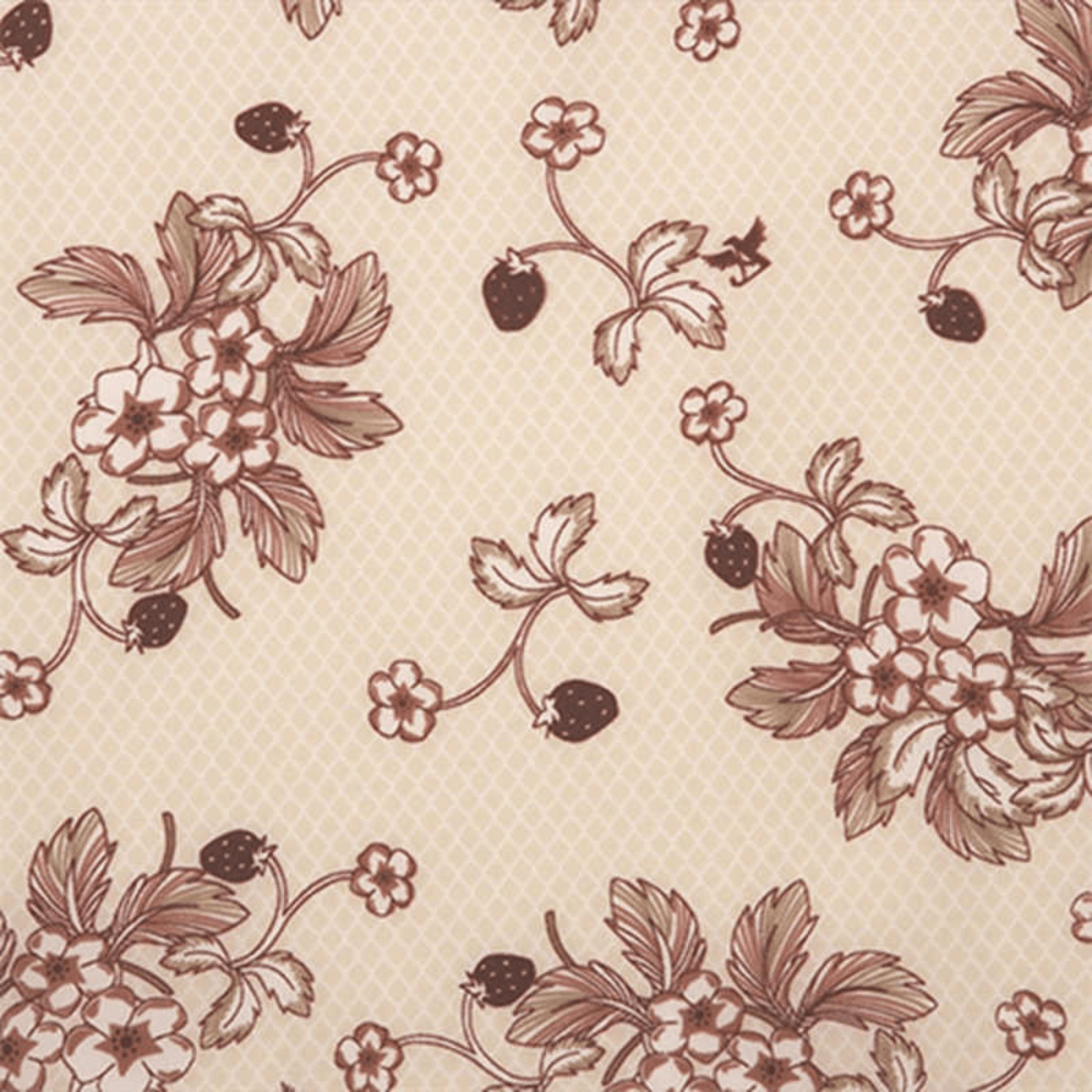 ベリープレートベージュ