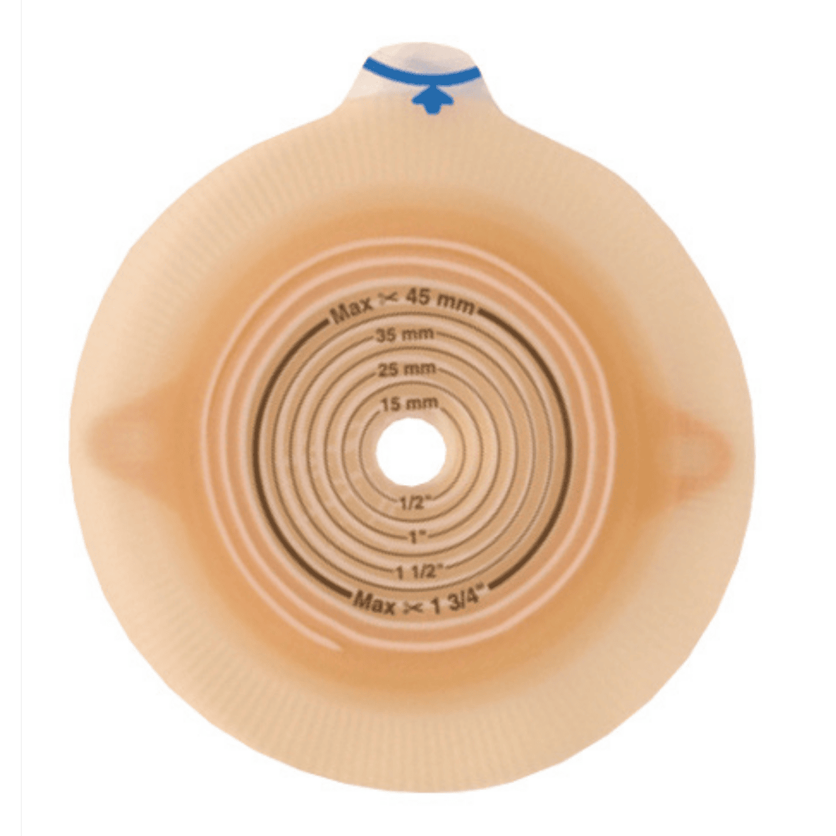 アシュラ セルフプレ-トER 5枚入 13151 フランジ径50mm フリーカット10-45mm