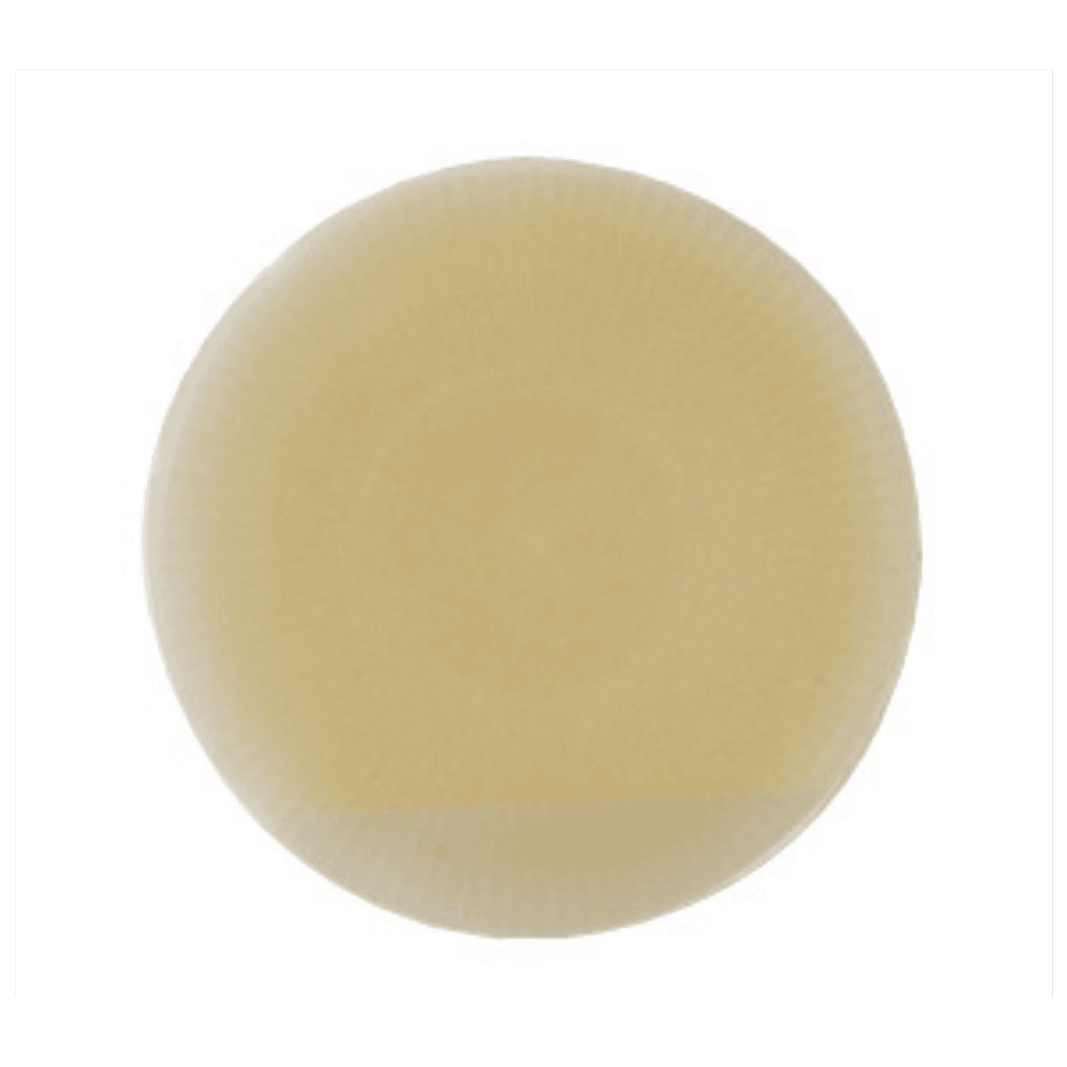 イ-ジフレックス キッズプレ-ト 10枚入 14308 ディスク内径27mm フリーカット0-25mm